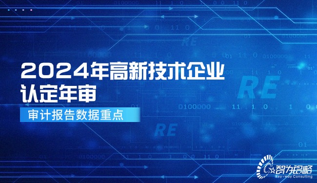2024年高新技術(shù)企業(yè)認(rèn)定年審—審計報告數(shù)據(jù)重點(diǎn).jpg