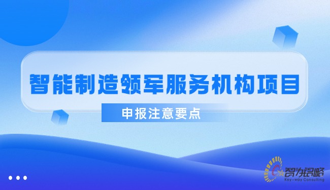 智能制造領(lǐng)軍服務(wù)機構(gòu)項目申報注意要點.jpg