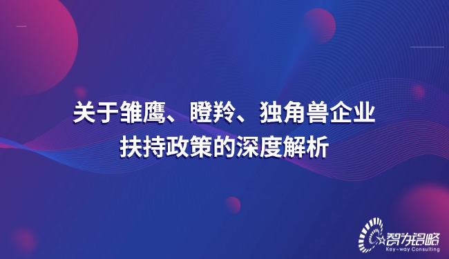 關(guān)于雛鷹、瞪羚、獨(dú)角獸企業(yè)扶持政策的深度解析.jpg