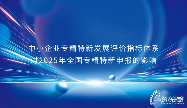 中小企業(yè)專精特新發(fā)展評價(jià)指標(biāo)體系對2025年全國專精特新申報(bào)的影響.jpg