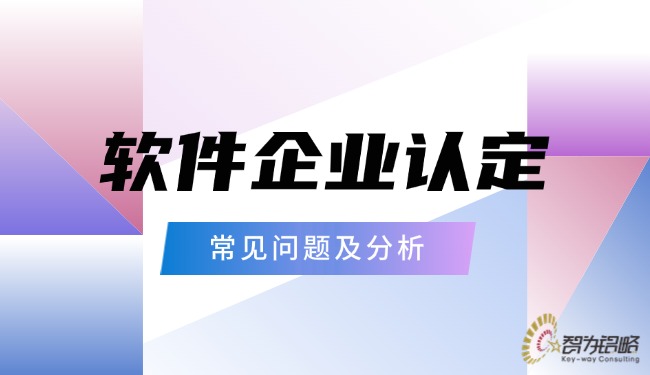 軟件企業(yè)認(rèn)定的常見問題及分析.jpg