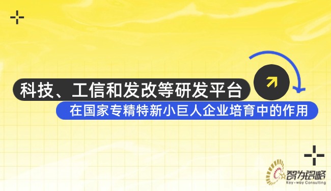 科技、工信和發(fā)改等研發(fā)平臺在國家專精特新小巨人企業(yè)培育中的作用.jpg