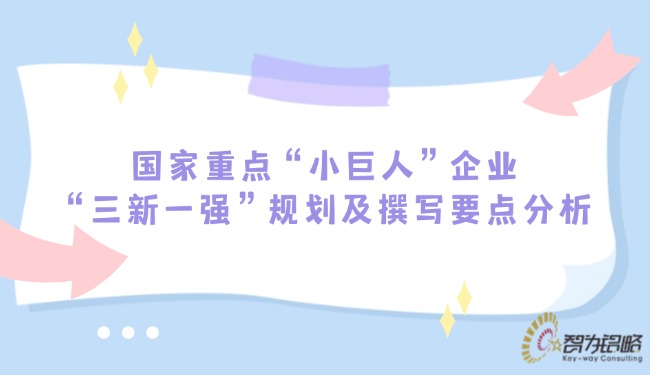國(guó)家重點(diǎn)“小巨人”企業(yè)“三新一強(qiáng)”規(guī)劃及撰寫(xiě)要點(diǎn)分析.jpg