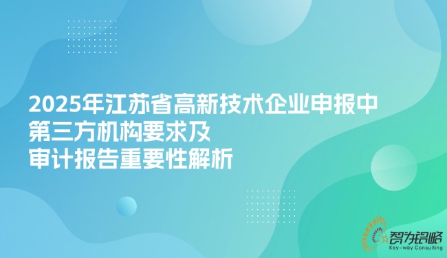 2025年江蘇省高新技術(shù)企業(yè)申報(bào)中第三方機(jī)構(gòu)要求及審計(jì)報(bào)告重要性解析.jpg