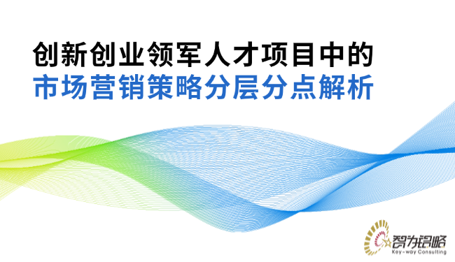 創(chuàng)新創(chuàng)業(yè)領(lǐng)軍人才項目中的市場營銷策略分層分點(diǎn)解析.png